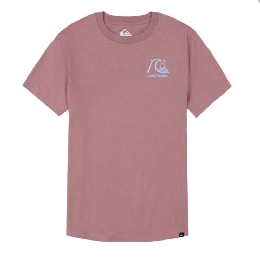 Quiksilver Boy's Omni Checked Logo Short Sleeve Tee Large 14/16